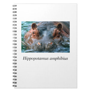 Hippo#1 Notizblock