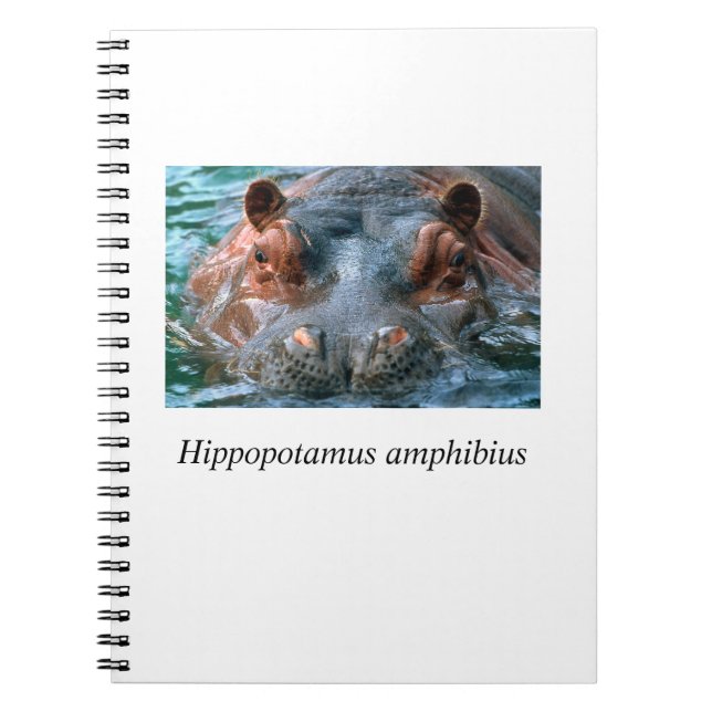 Hippo#1 Notizblock (Vorderseite)