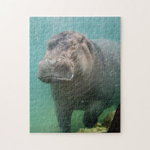 hippo-4 puzzle