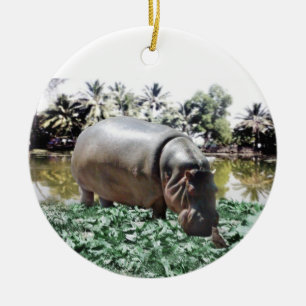 Hippo & Bird Keramikornament