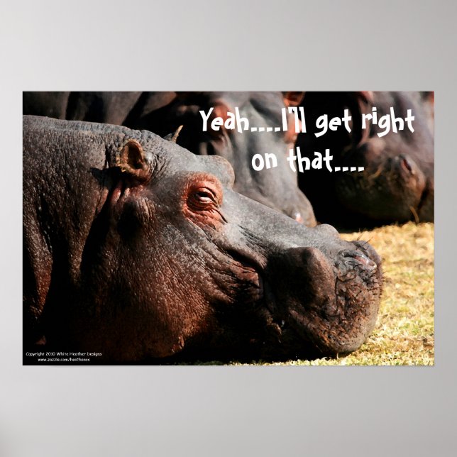 Hippo-Einstellung "Ich komme gleich drauf" Poster (Vorne)