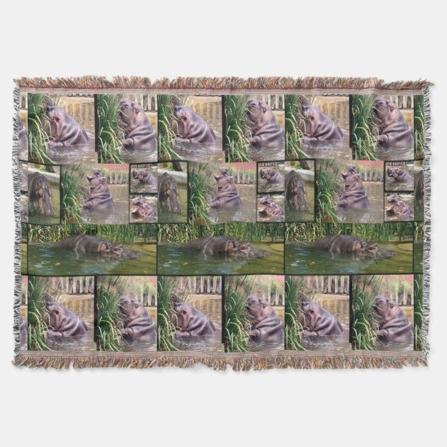 Hippo-FotoCollage, Decke (Vorderseite)