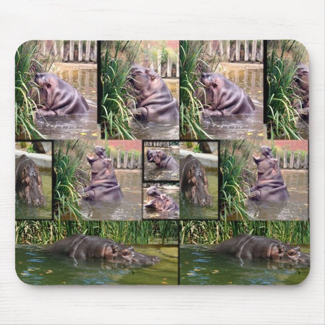 Hippo FotoCollage, Mousepad (Vorne)