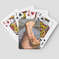 Hippo-Gähnen, Tansania