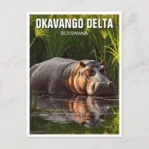 Hippo in Okavango Delta Botswana