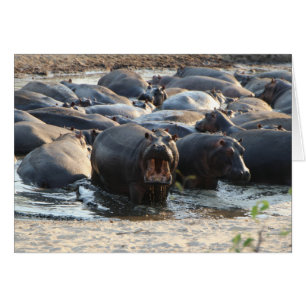 Hippo-Karte - innen leer