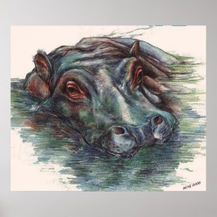 Hippo-Malerei Hippopotamus Portrait Poster