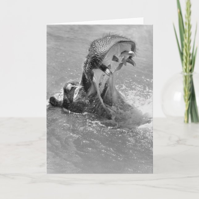 Hippo-Merkkarte gefüttert Karte (Vorderseite)