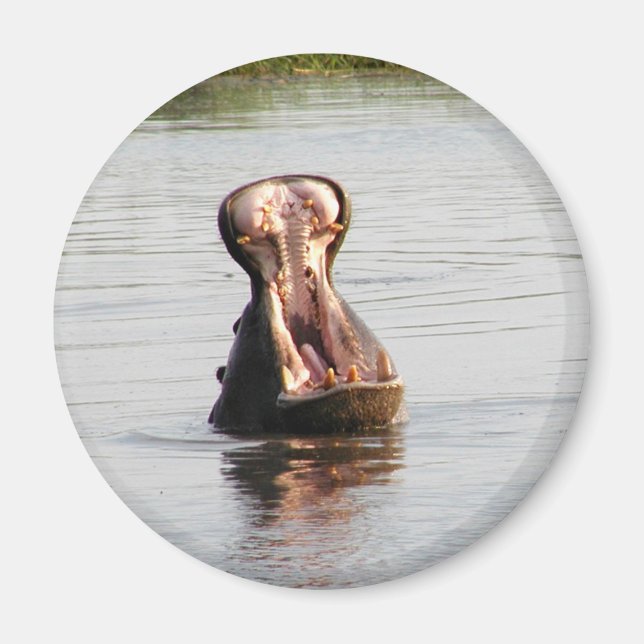 Hippo-Mund (runder oder quadratischer Magnet) Magnet (Vorne)