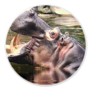Hippo Roar, Keramikknauf