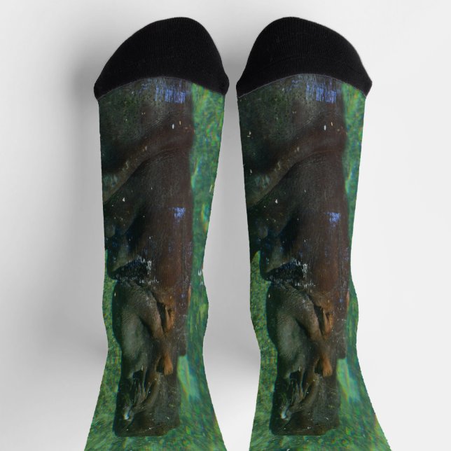 Hippo Schwimmen unter Wasser, Crew Socken (Oben)