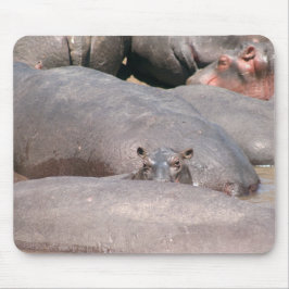 Hippo sieht dich an mousepad