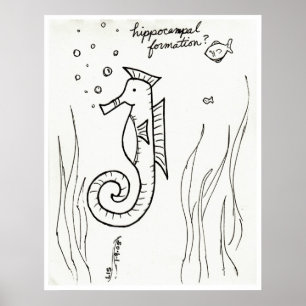 Hippocampal Formationsdruck Poster