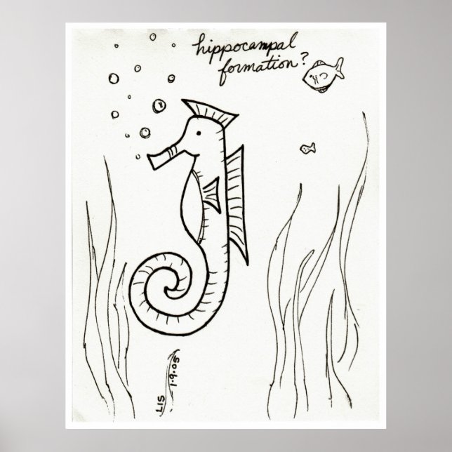 Hippocampal Formationsdruck Poster (Vorne)