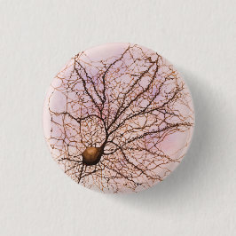 Hippocampal Neuron - Knopf u. Button