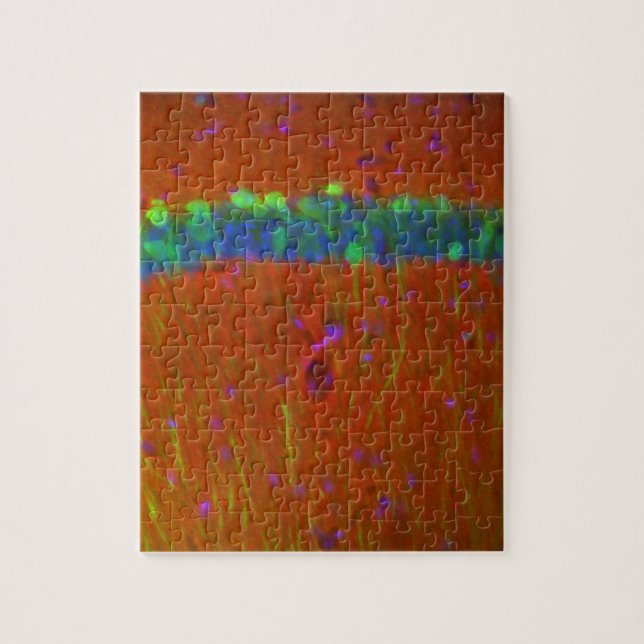 Hippocampal Neuronen 4 Puzzle (Vertikal)