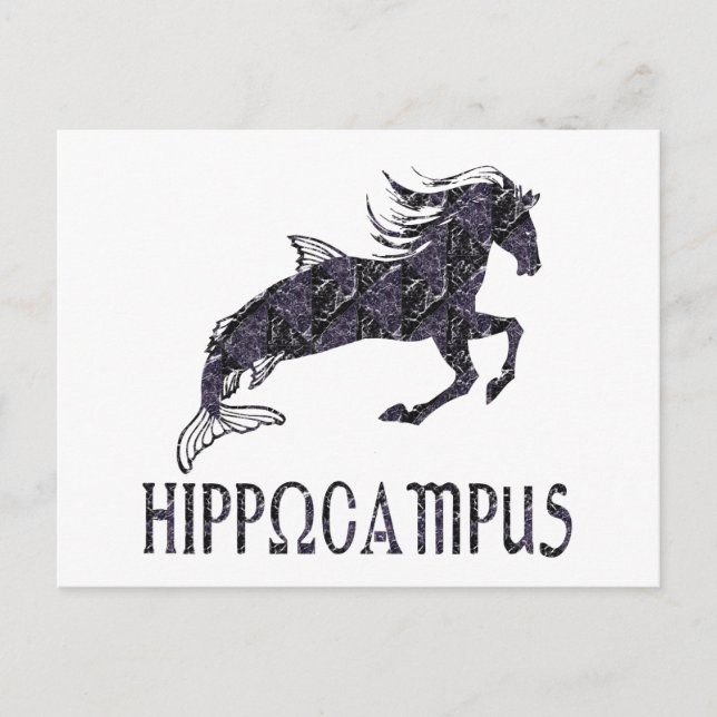 Hippocampus Postkarte (Vorderseite)