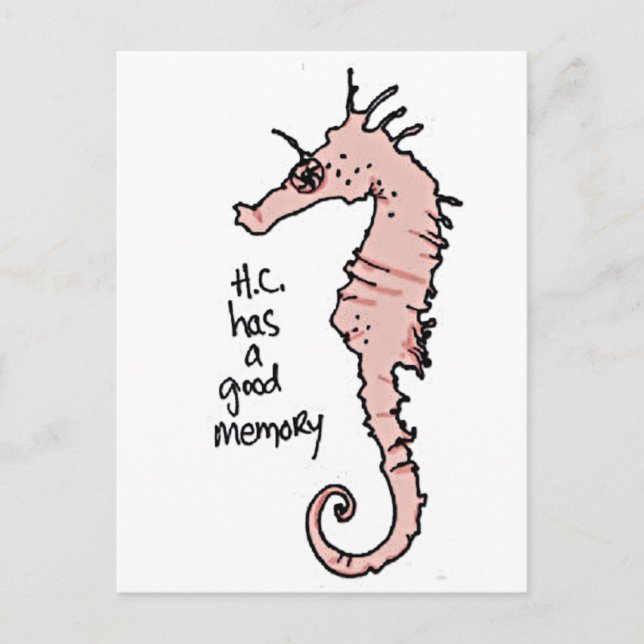 Hippocampus Postkarte (Vorderseite)