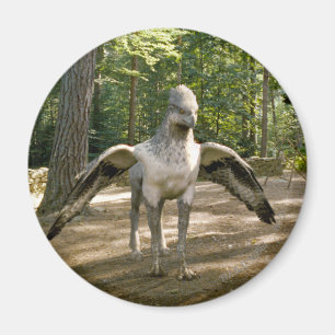 Hippogriff Magnet
