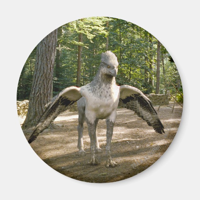 Hippogriff Magnet (Vorne)