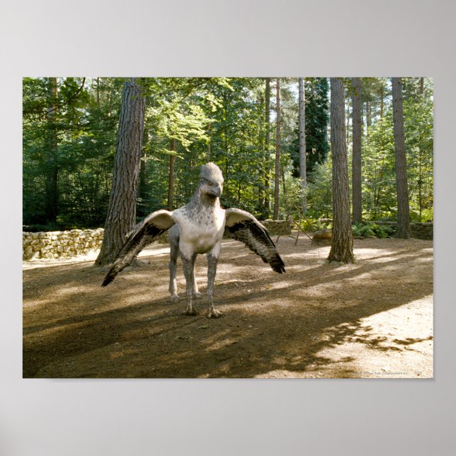 Hippogriff Poster (Vorne)