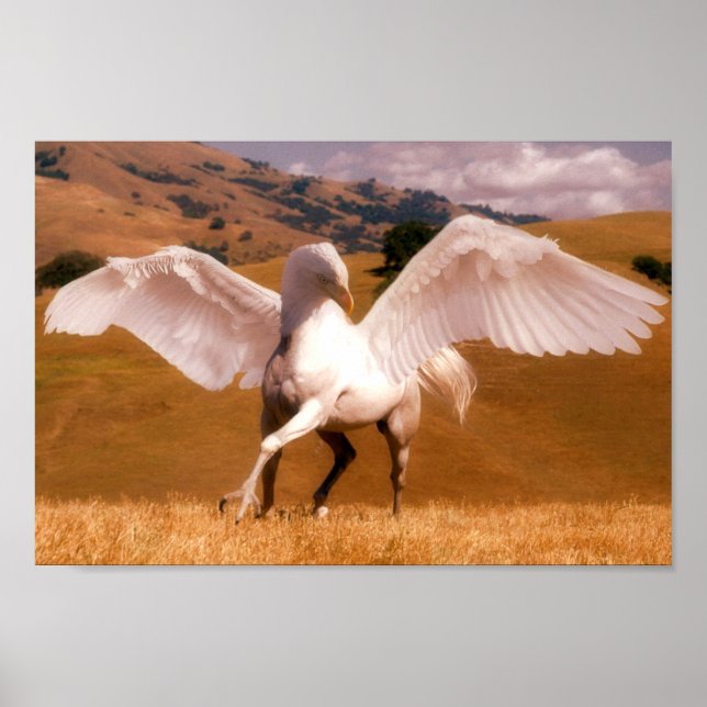 Hippogriff Poster (Vorne)