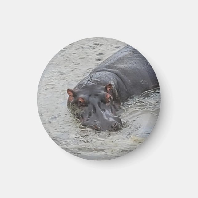 Hippoposterus Magnet (Vorne)