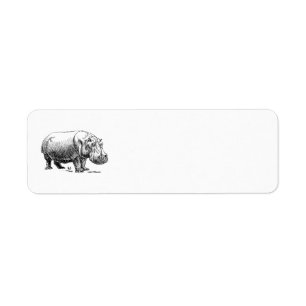 Hippopotamus