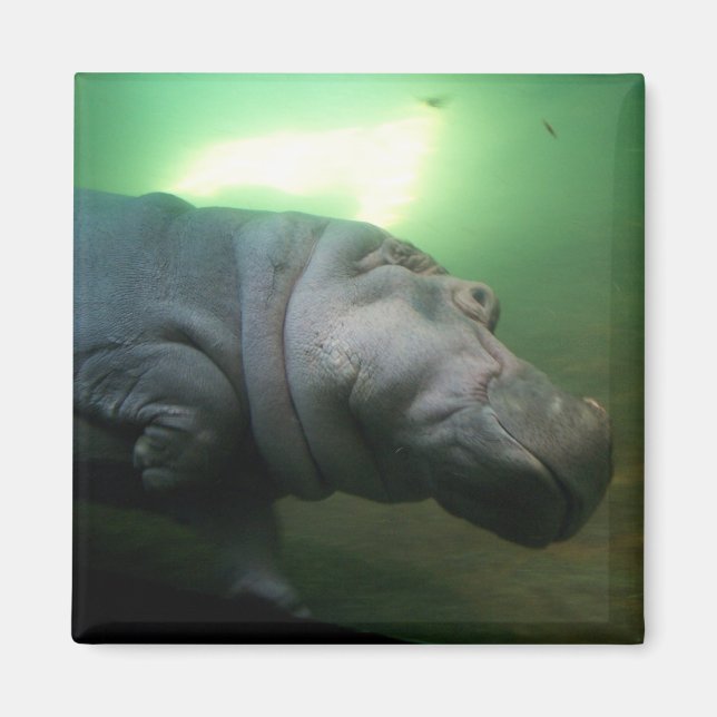 Hippopotamus Abstrakt Magnet (Vorne)