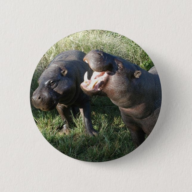 Hippopotamus Button (Vorderseite)