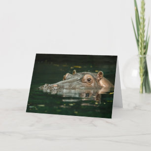 Hippopotamus Card Karte