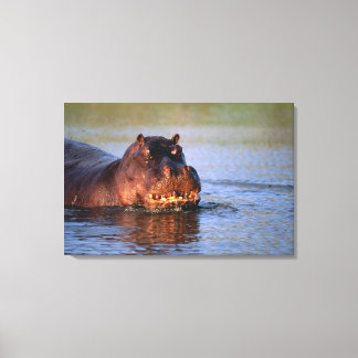Hippopotamus im Fluss Leinwanddruck