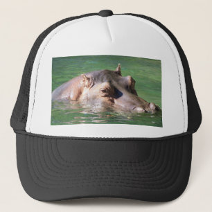 Hippopotamus-Schwimmen auf der Oberfläche Truckerkappe