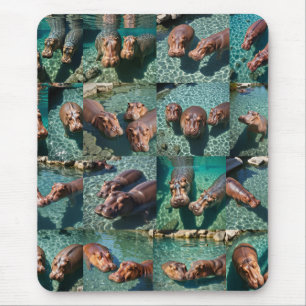 Hippos at Play: Ein Paradies für Wasserläufe Mousepad