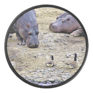 HIPPOS EISHOCKEY PUCK