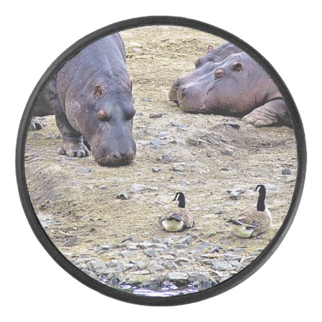 HIPPOS EISHOCKEY PUCK (Vorderseite)