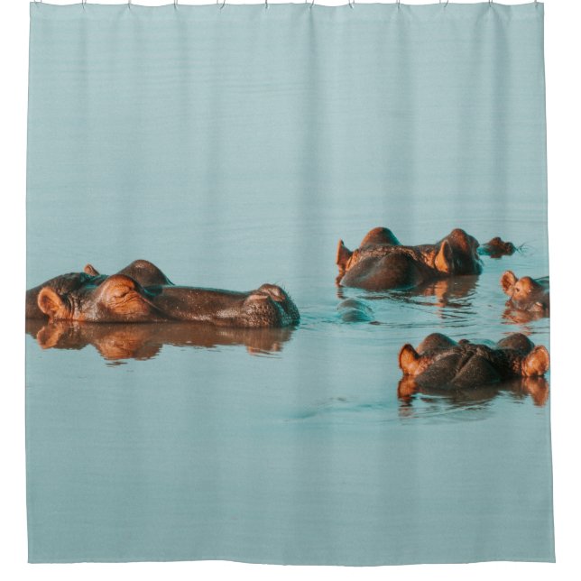 HIPPOS KÜHLEN IM DAM AB DUSCHVORHANG (Vorderseite)