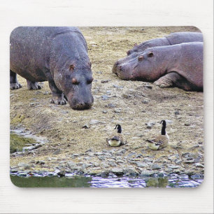 HIPPOS MOUSEPAD