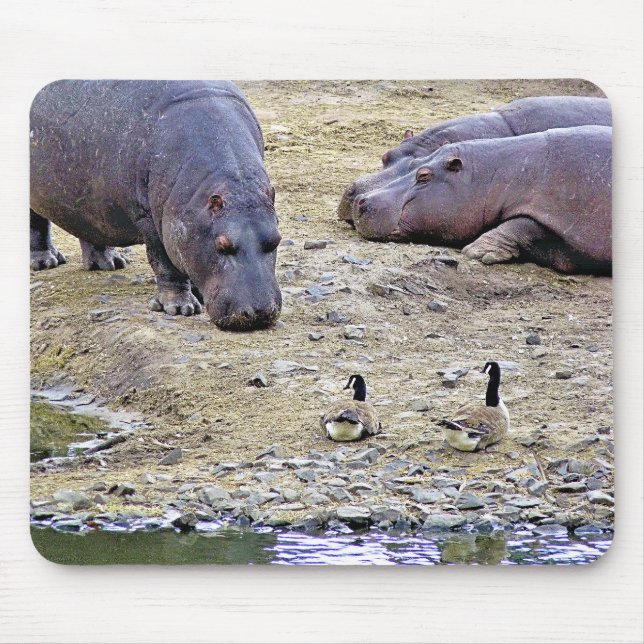 HIPPOS MOUSEPAD (Vorne)
