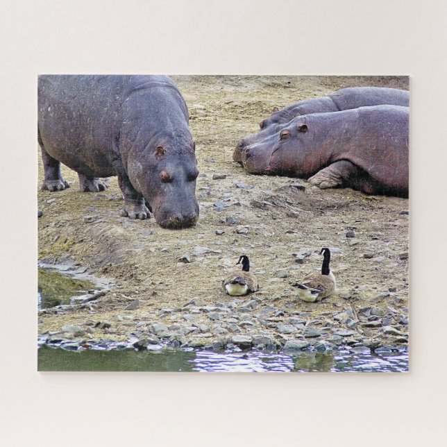 HIPPOS PUZZLE (Horizontal)
