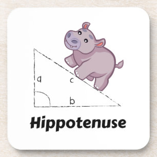 Hippotenuse Funny Math Getränkeuntersetzer
