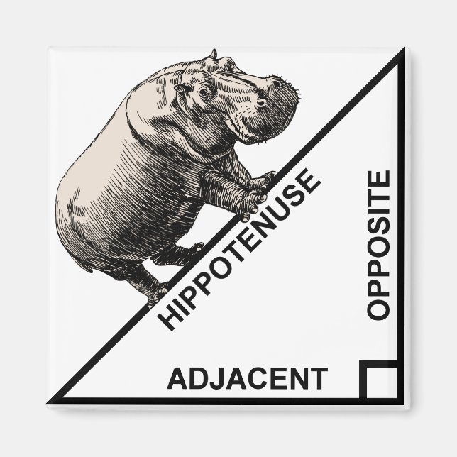 Hippotenuse Hypotenuse Funny Math Geometry Magnet (Vorne)