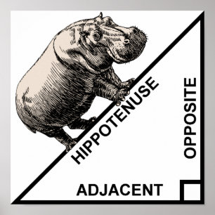 Hippotenuse Hypothenuse Lustige Mathe Geometrie Po Poster