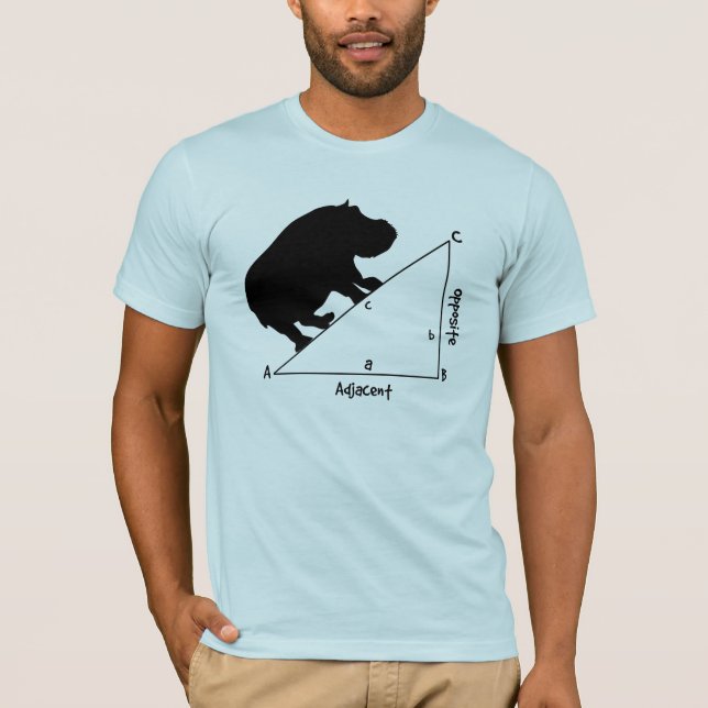 Hippotenuse T-Shirt (Vorderseite)