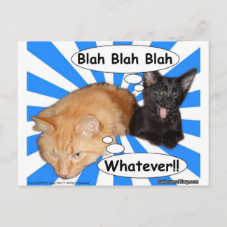 Hippy Kitty Blah Blah Blah Was auch immer!! Postkarte