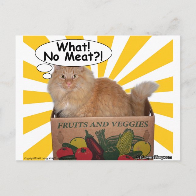 Hippy Kitty Was! Kein Fleisch? Postkarte (Vorderseite)