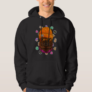 Hipster Alpaca Geek Nerd Glasses Tierheim Liebe Fr Hoodie