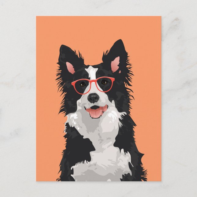 Hipster Border Collie Postcard für Hundefreunde Postkarte (Vorderseite)