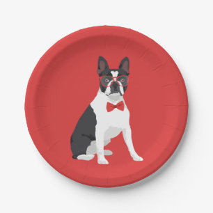 Hipster-Boston-Terrier mit roten Gläsern u. Pappteller