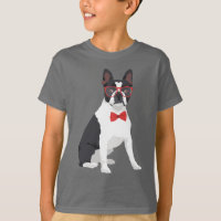 Hipster-Boston-Terrier mit roten Gläsern u.